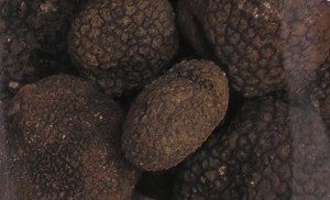 Black.summer.truffle.arp_cropped-300x182