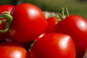 tomatoes-503447_1280