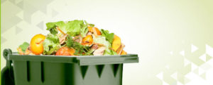 what-is-food-waste