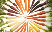 Carrots_of_many_colors-200x125