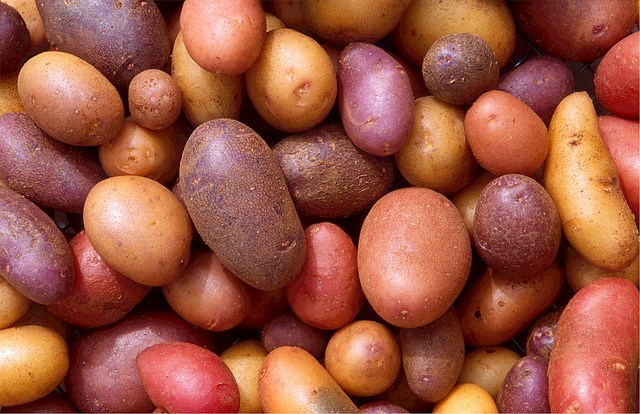 potatoes-522486_640