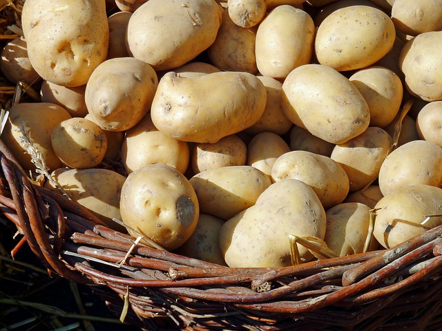 potato-1700583_640