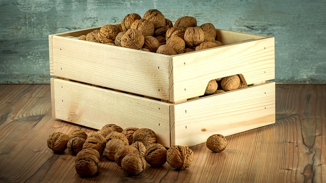 walnut-1213037_640